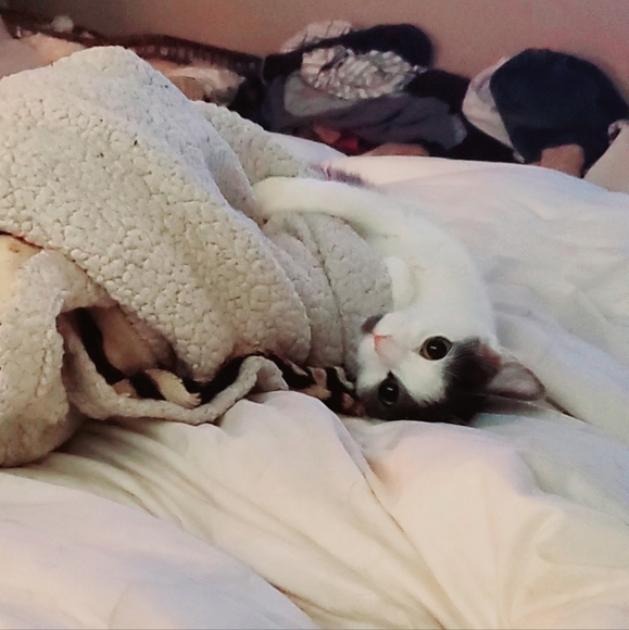 Keep an 👁 4 Sales! - Picture 5 of 8